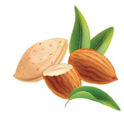 Picture of Kath Badam -250 gm