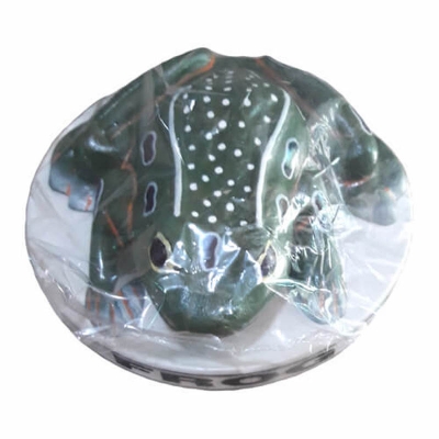 Picture of Frog Artificial Model on Board