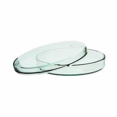 Picture of Glass Petri Dish 60 mm for Lab Use