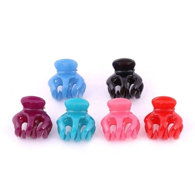 Picture of  Hair Clip - 6 PC