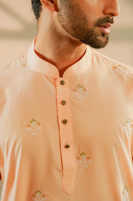 Picture of Amir Embroidered Panjabi in Peach