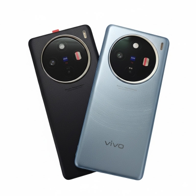 Picture of Back Cover Battery Housing Door Lid Shell For vivo X100