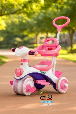 Picture of Akij Jim & Jolly Royal Rider Complete - 9M Tricycle with Music and Light / Tricycle for Kids and Babys / Bike for Babys & Kids Tricycles For Baby Game Changer Outlet