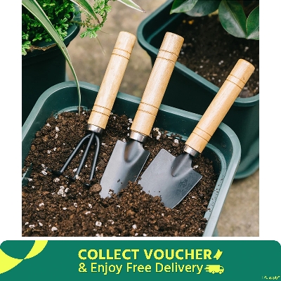 Picture of 3pcs Mini Garden Shovel Rake Spade Bonsai Tools Set Wooden Handle for Flowers Potted Plant Garden Tools Weeding Tools-D Shop