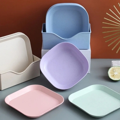 Picture of 10Pcs Square Wheat Straw Plates Salad Bowl Reusable Food Serving Dishes with Rack_D Shop
