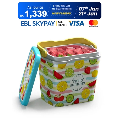 Picture of Thermal Ice Box 25 L Assorted 