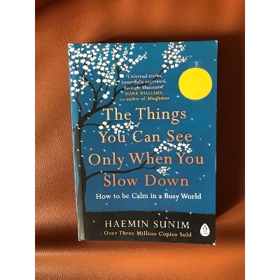 Picture of The Things You Can See Only When You Slow Down