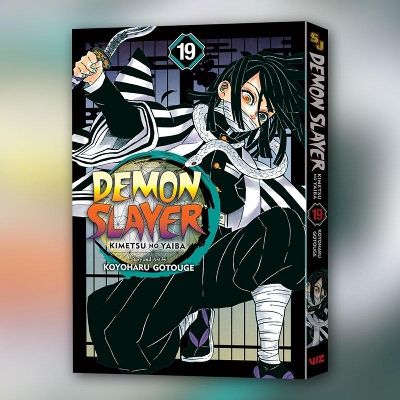 Picture of Demon Slayer: Kimetsu no Yaiba, Vol. 19 (19) Paperback   December 1, 2020