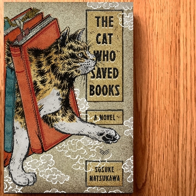 Picture of The Cat Who Saved Books  premium quality