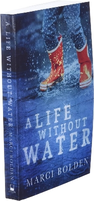Picture of A Life Without Water Kindle Edition  premium quality novel