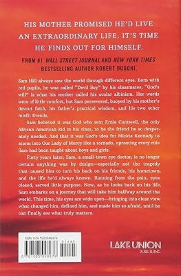 Picture of The Extraordinary Life of Sam Hell: A Novel Paperback – April 24 2018  premium quality novel