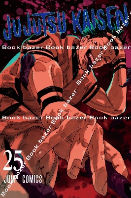 Picture of Jujutsu Kaisen Vol.25