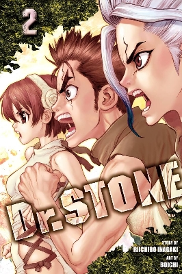 Picture of Dr. STONE, Vol. 2