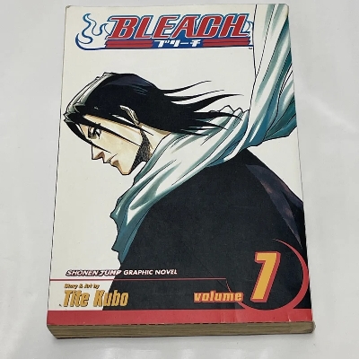 Picture of Bleach, Vol. 7