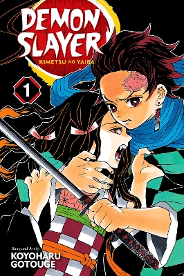 Picture of Demon Slayer: Kimetsu no Yaiba, Vol. 1