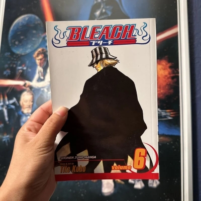 Picture of Bleach, Vol. 6