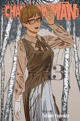 Picture of Chainsaw Man, Vol. 13