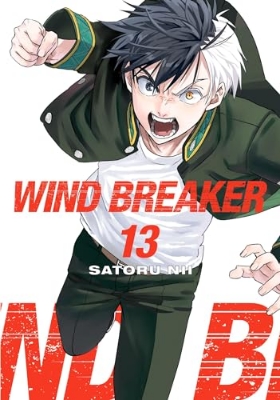 Picture of WIND BREAKER Vol. 13