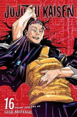 Picture of Jujutsu Kaisen, Vol. 16