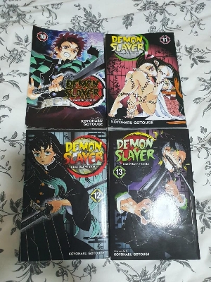 Picture of Demon Slayer: Kimetsu no Yaiba, Vol. 13