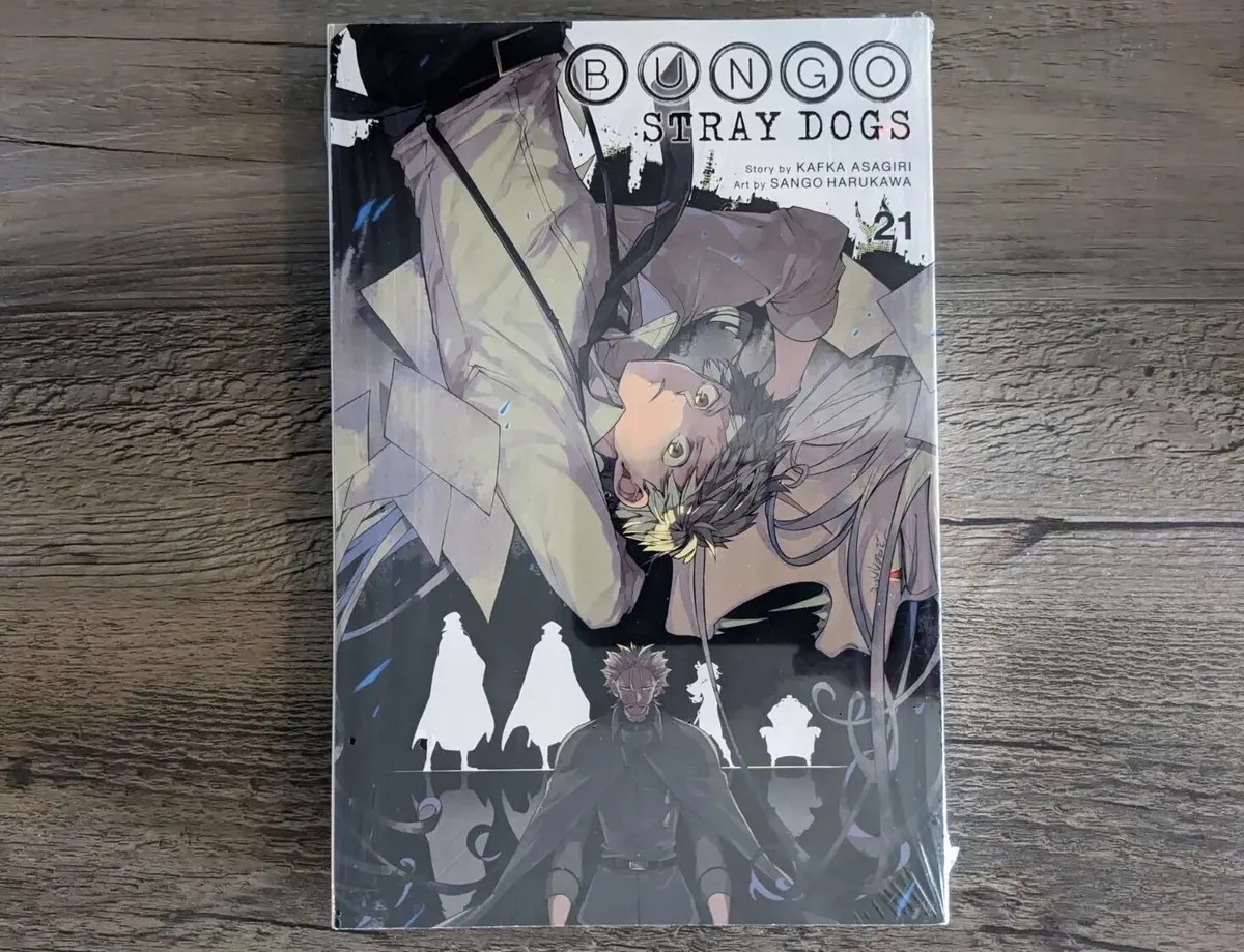 Picture of Bungo Stray Dogs Vol. 21