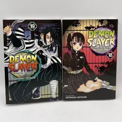 Picture of Demon Slayer: Kimetsu no Yaiba, Vol. 19