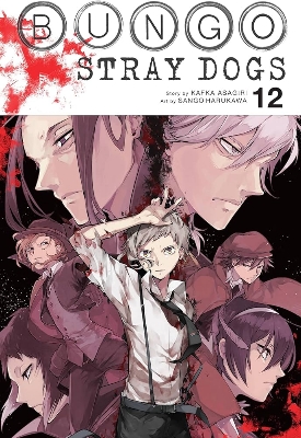 Picture of Bungo Stray Dogs Vol. 12