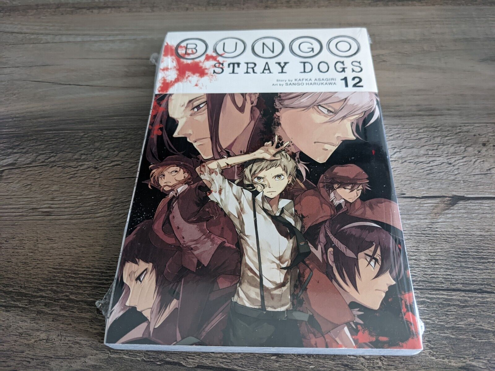 Picture of Bungo Stray Dogs Vol. 12