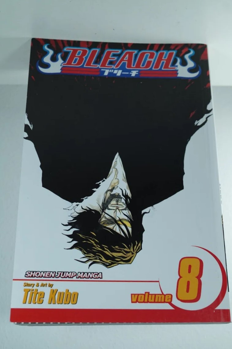 Picture of Bleach, Vol. 8