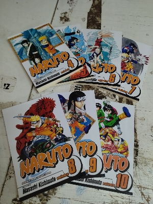 Picture of Naruto, Vol. 10: A Splendid Ninja