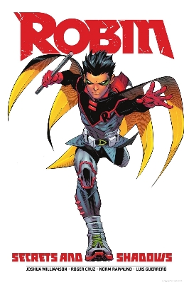 Picture of Robin 3: Secrets and Shadows