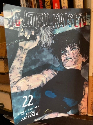 Picture of Jujutsu Kaisen, Vol. 22