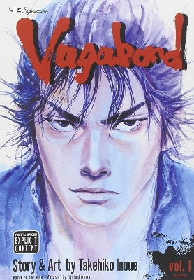 Picture of Vagabond 01
