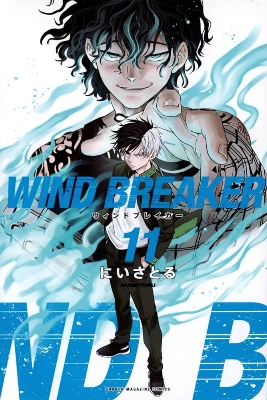 Picture of WIND BREAKER Vol. 11