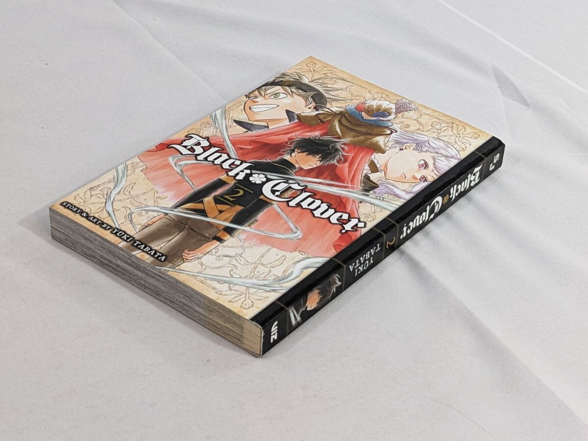 Picture of Black Clover, Vol. 2 (Paperback)