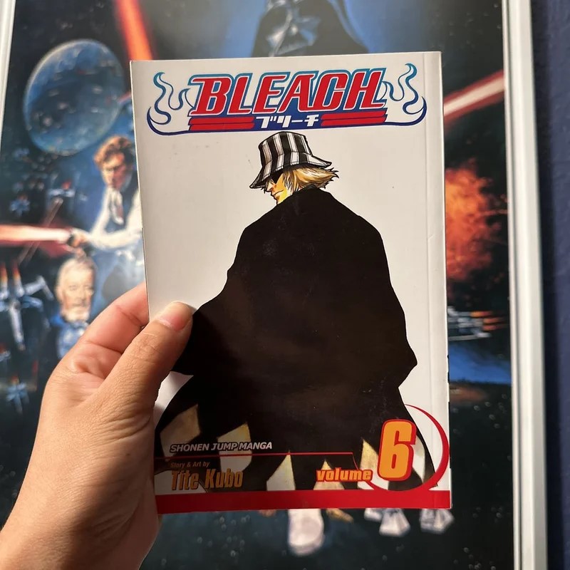 Picture of Bleach, Vol. 6