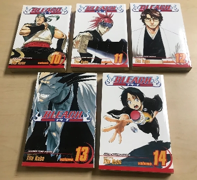 Picture of Bleach, Vol. 6