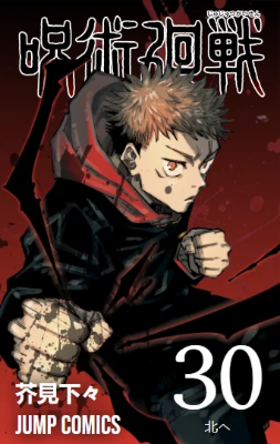 Picture of Jujutsu Kaisen Volumes 28-30   Paperback  2024 (3 books )