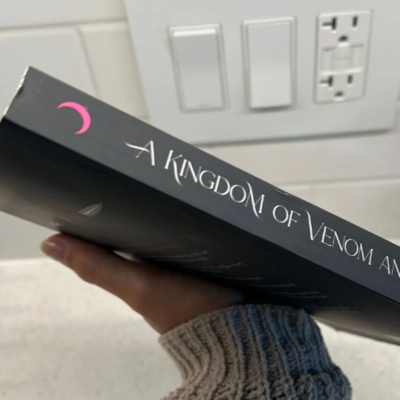 Picture of A Kingdom of Venom and Vows ( Stars and Shadows #3 ) ( Book by Holly Renee ) ( Premium Paper and Matte Cover ) Novel