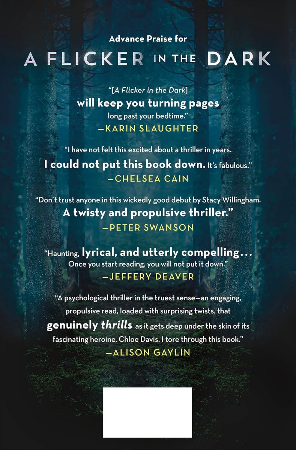 Picture of A Flicker in the Dark by Stacy Willingham ( Premium Paper and Matte Cover ) Novel