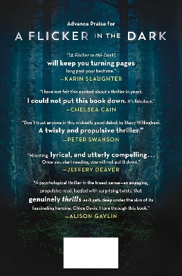 Picture of A Flicker in the Dark by Stacy Willingham ( Premium Paper and Matte Cover ) Novel
