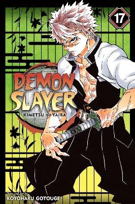 Picture of Demon Slayer: Kimetsu no Yaiba, Vol. 17