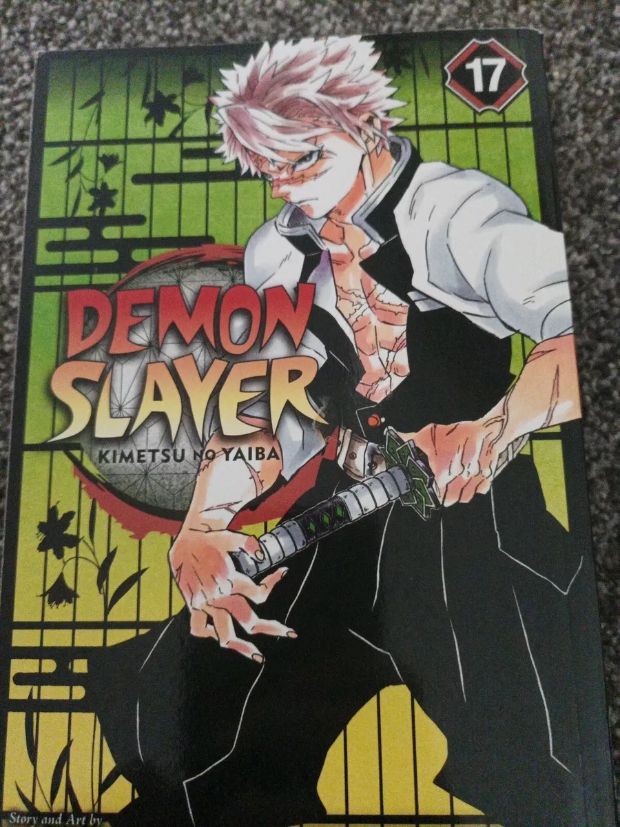 Picture of Demon Slayer: Kimetsu no Yaiba, Vol. 17