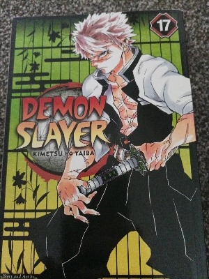 Picture of Demon Slayer: Kimetsu no Yaiba, Vol. 17
