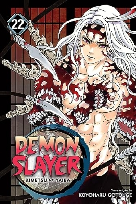 Picture of Demon Slayer: Kimetsu no Yaiba, Vol. 22