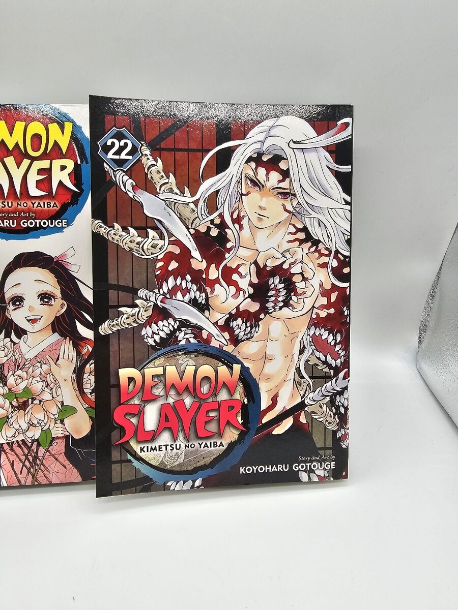 Picture of Demon Slayer: Kimetsu no Yaiba, Vol. 22