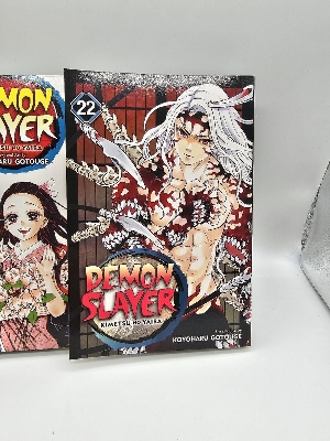 Picture of Demon Slayer: Kimetsu no Yaiba, Vol. 22