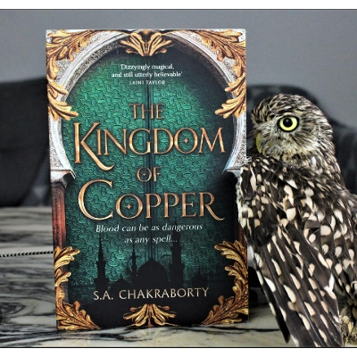 Picture of The Kingdom of Copper ( The Daevabad Trilogy #2 ) by S.A. Chakraborty ( Premium Paper and Matte Cover ) Novel