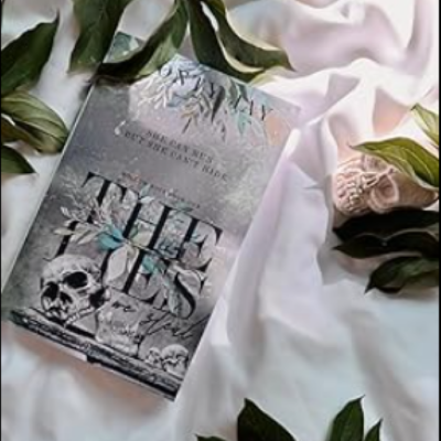 Picture of The Lies We Steal ( Hollow Boys #1 ) ( Book by Monty Jay ) ( Premium Paper and Matte Cover ) Novel