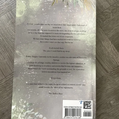 Picture of The Lies We Steal ( Hollow Boys #1 ) ( Book by Monty Jay ) ( Premium Paper and Matte Cover ) Novel